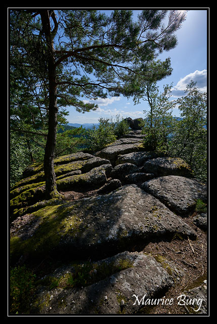 05_Rocher du Pfaffenlapp