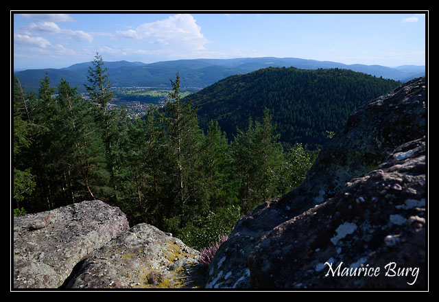 11_Rocher du Pfaffenlapp