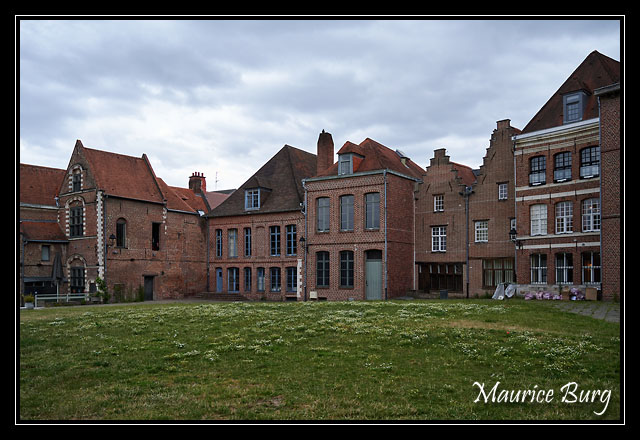 25_Ilôt Comtesse