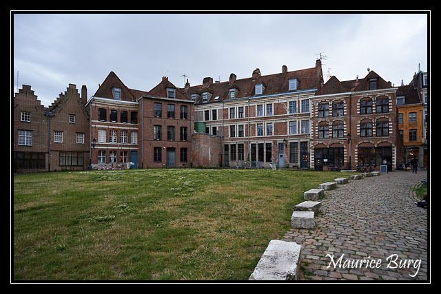26_Ilôt Comtesse