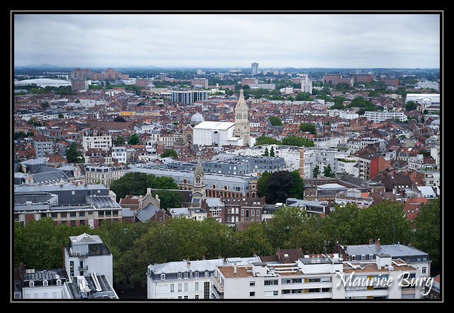 48_Du haut du Beffroi de l'Hôtel de Ville