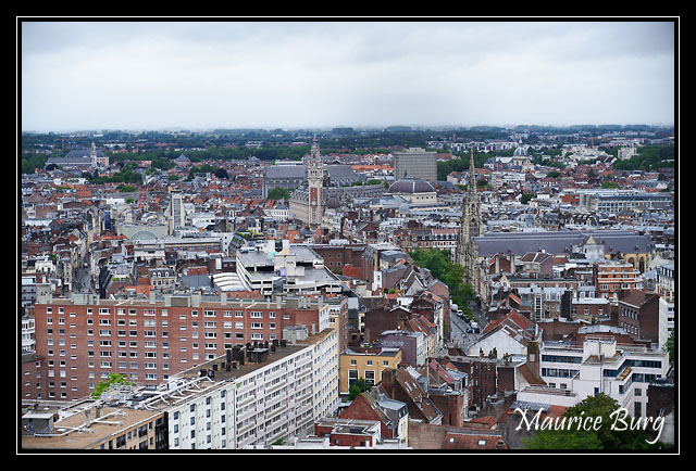 49_Du haut du Beffroi de l'Hôtel de Ville