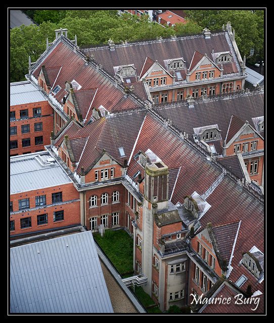 50_Du haut du Beffroi de l'Hôtel de Ville