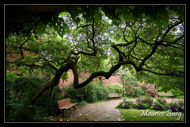 57_Square du Réduit