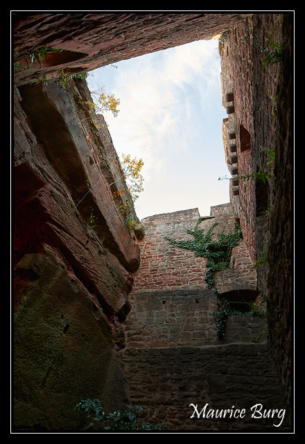 09_Falkenstein