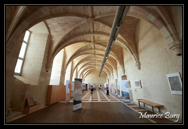 050_Abbaye de St-Savin