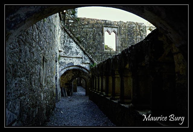 Ross Errily Friary