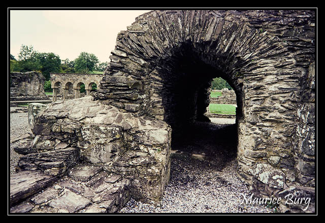 Old Mellifont Abbey