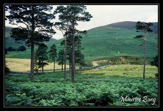 W⁫icklow mountains