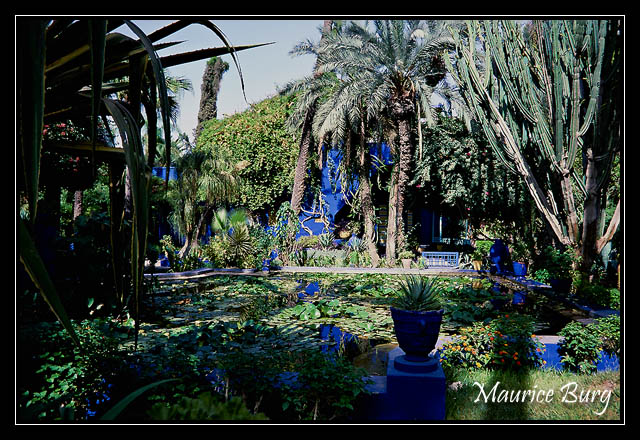 maroc_21 Marrakech, le jardin Majorelle
