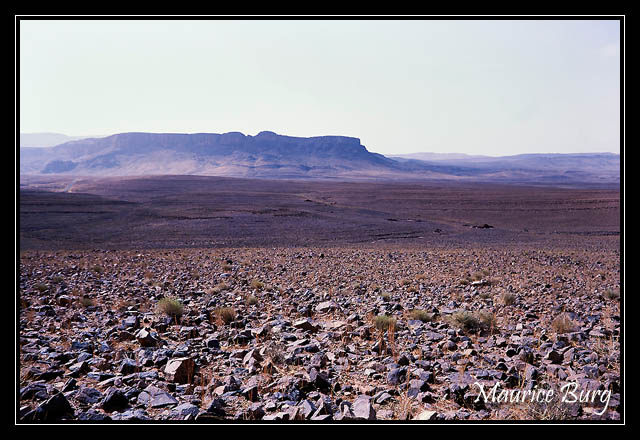 maroc_39 le reg.