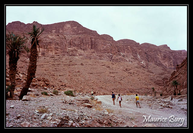 maroc_44 les gorges du Dades