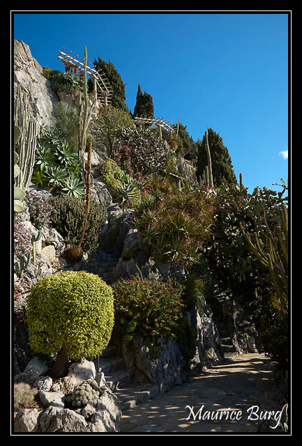 Le jardin exotique