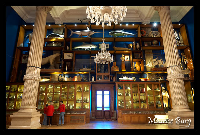 Le musée océanographique