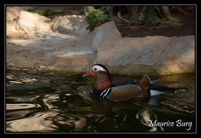 Fontvieille le jardin animalier