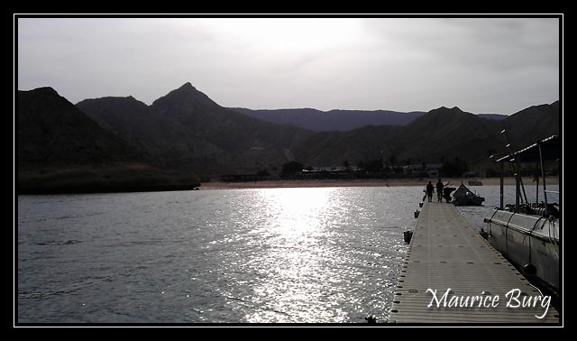 Oman Dive Center