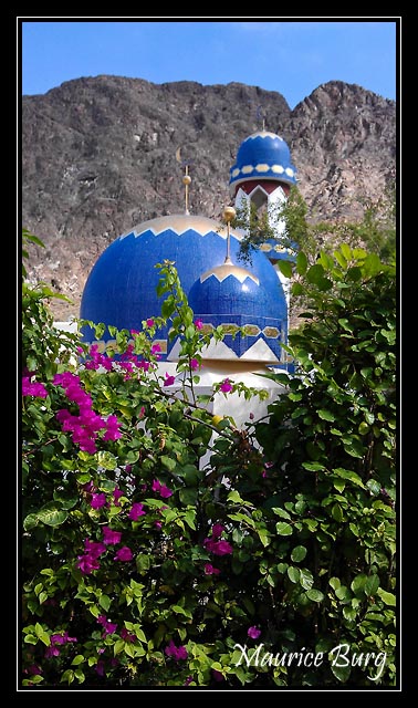 Muscat